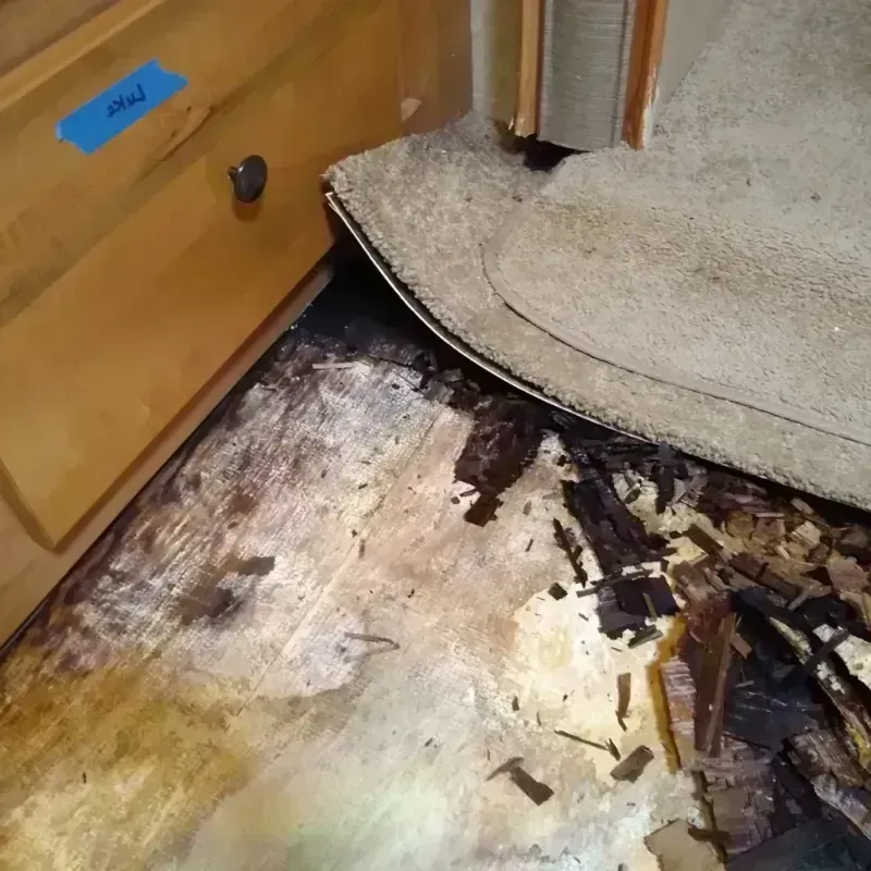 Best Wood Floor Water Damage Service in Clayton, NC